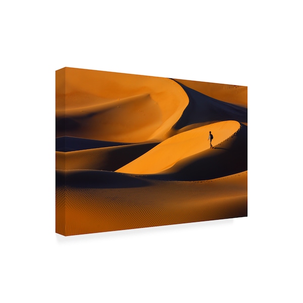 Ebrahim Bakhtari Bonab 'The Golden Light Of Sunset And Its Form' Canvas Art,16x24